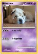 chow-chow
