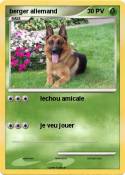 berger allemand