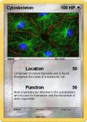 Cytoskeleton