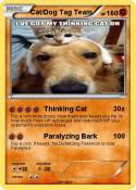 Cat/Dog Tag