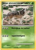 berger allemand