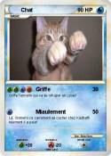 Chat