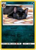 catdo