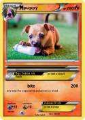 puppy