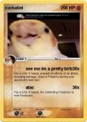 cockatiel