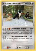 le trio des