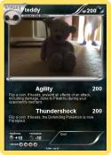 teddy