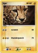 tiger