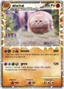 attachat