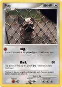 Pug