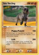 Toto The Dog