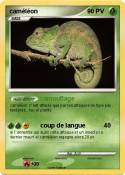caméléon