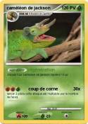 caméléon de jac