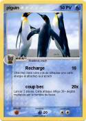 piguin