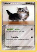 Cute Cat