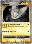 HELCAT