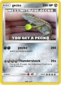gecko