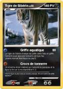 Tigre de