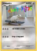 chatµpitre