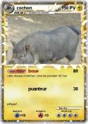 cochon