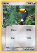 toucan