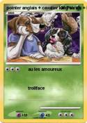 pointer anglais