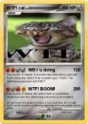 WTF! cat