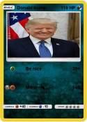 Donald trump