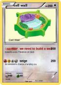 cell wall
