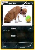 Cute dog