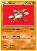 Mr.Lee