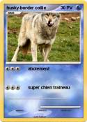 husky-border