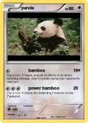 panda