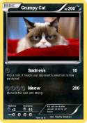 Grumpy Cat