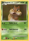 Fat Squirrel