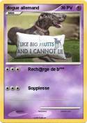 dogue allemand