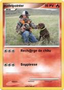 pudelpointer
