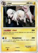chiot