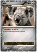 koala