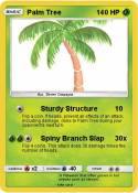 Palm Tree