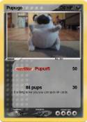 Pupugo