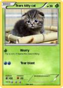 Tears kitty cat