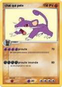 chat qui pete