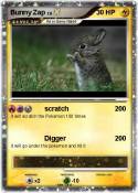 Bunny Zap