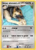 berger allemand