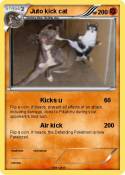 Juto kick cat