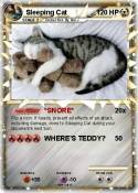 Sleeping Cat