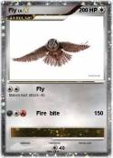 Fly