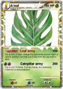 A leaf
