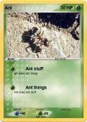 Ant